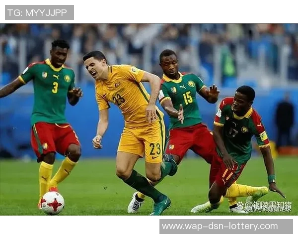 墨西哥足球队的辉煌历程与未来展望：从历史到梦想的追逐之路